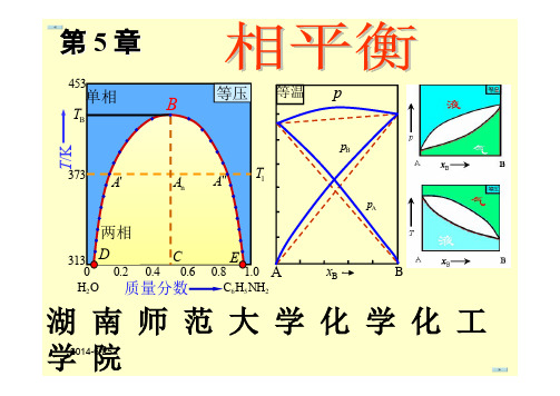相平衡物理化学课件—