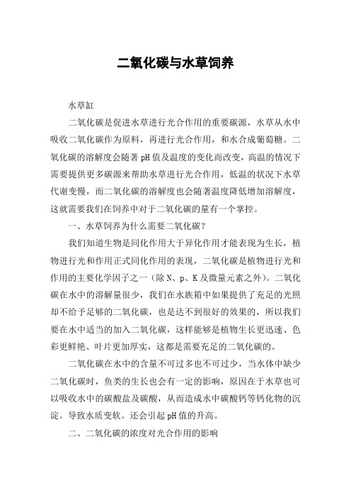 二氧化碳与水草饲养