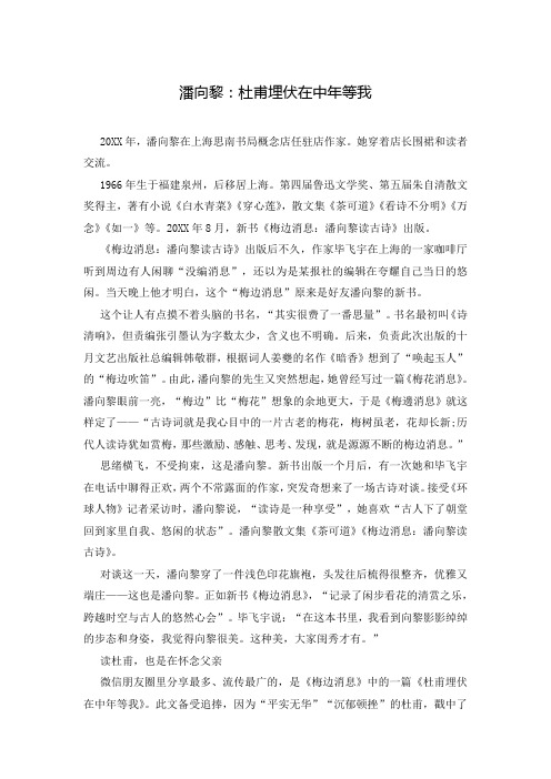 潘向黎：杜甫埋伏在中年等我