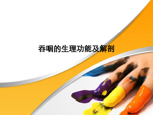 吞咽的生理功能及解剖