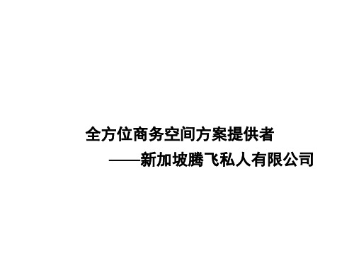 新加坡腾飞公司介绍