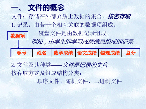 文件的概念