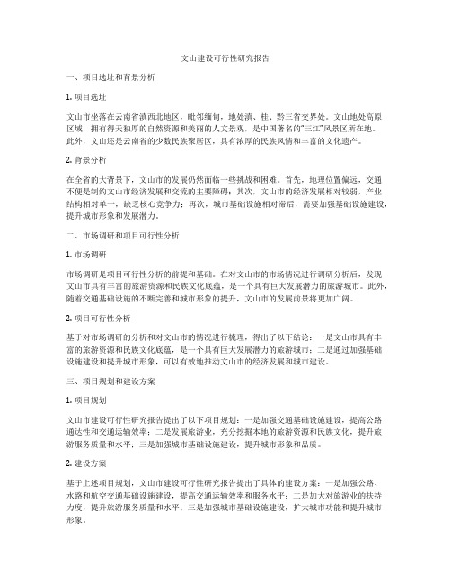文山建设可行性研究报告