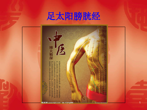 足太阳膀胱经参考PPT