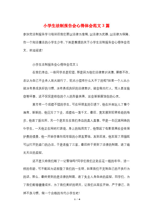 小学生法制报告会心得体会范文3篇