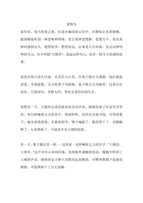 爱情鸟