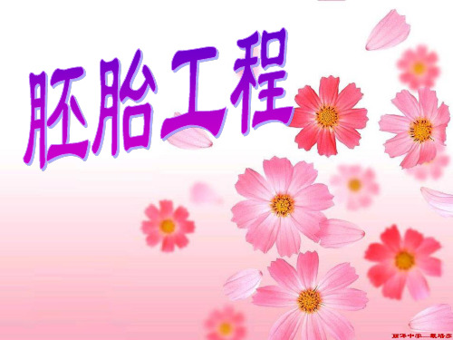 3.1体内受精和早期胚胎发育课件