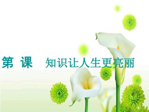 学习--成才的阶梯课件1_图文