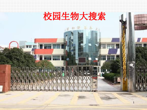 新教科版小学科学六年级上册《4.1、校园生物大搜索》PPT课件(1)【推荐】.ppt