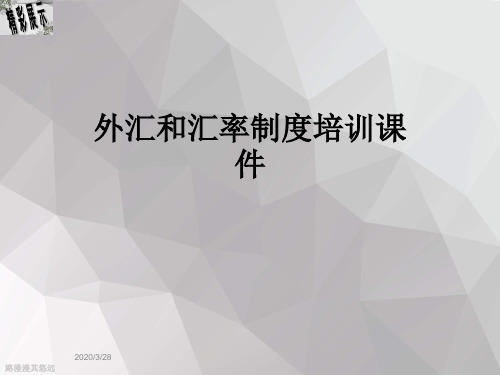 外汇和汇率制度培训课件