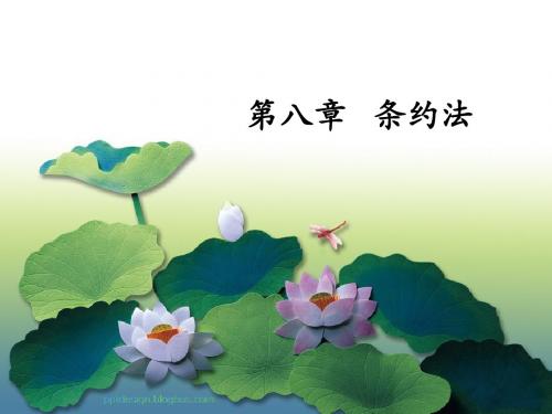 条约法课堂ppt