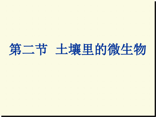 13.2土壤里的微生物 课件