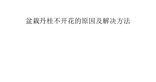 盆栽丹桂不开花的原因及解决方法