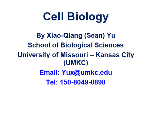 细胞生物学课件英文版-DNA和染色体