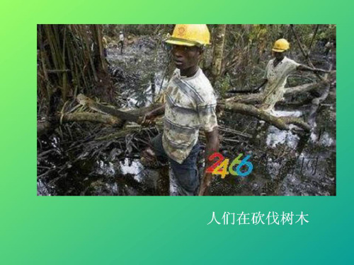 呼唤环保的小招贴(课堂PPT)