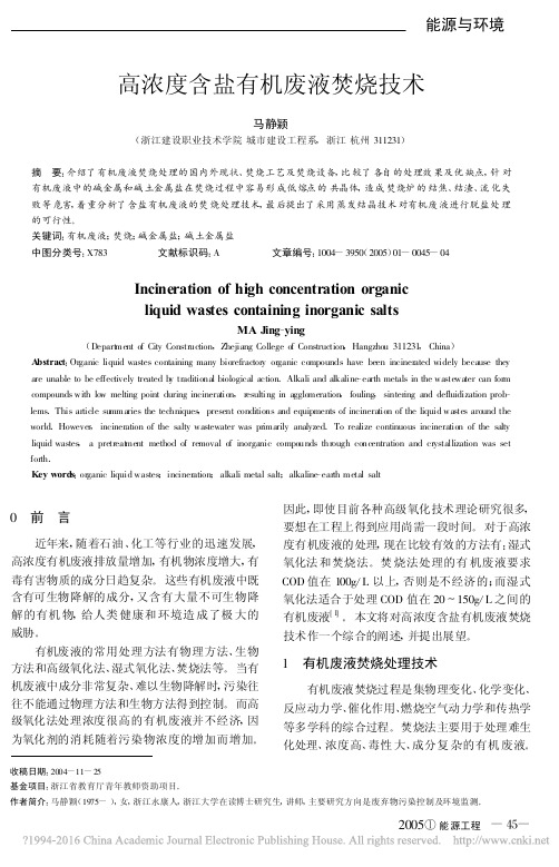 高浓度含盐有机废液焚烧技术_马静颖