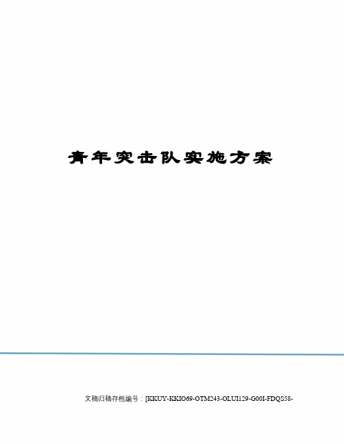 青年突击队实施方案