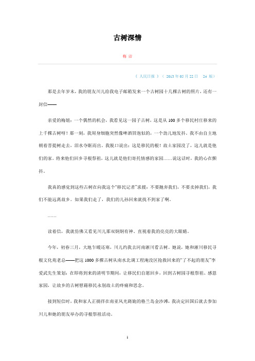 古树深情