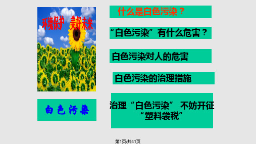 白色污染的防治PPT课件