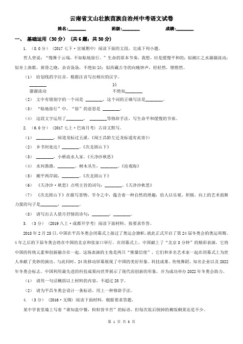 云南省文山壮族苗族自治州中考语文试卷