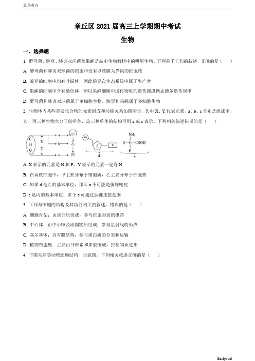 山东省济南市章丘区2021届高三上学期期中考试生物试题 含答案