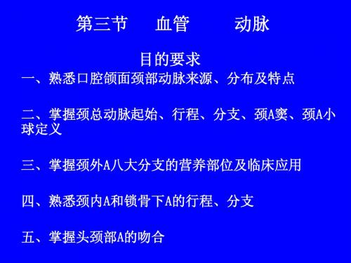 第三节   血管17.18     动脉