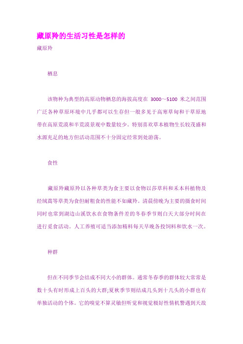 藏原羚的生活习性是怎样的