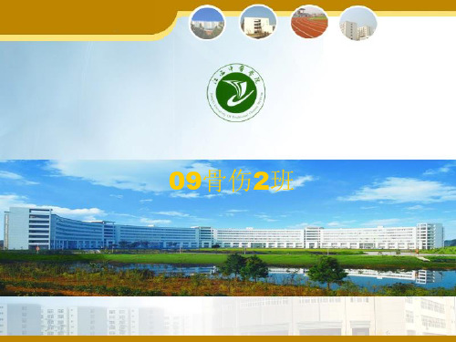 假药演讲ppt