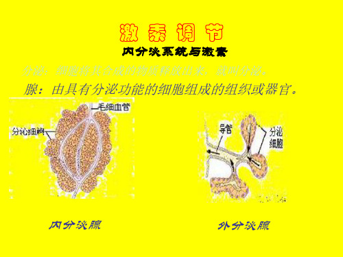 七年级生物激素调节3