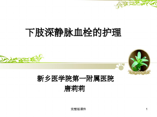 下肢深静脉血栓的护理-pptPPT课件