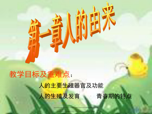 最新人教版生物七年级下册第一章人的由来课件