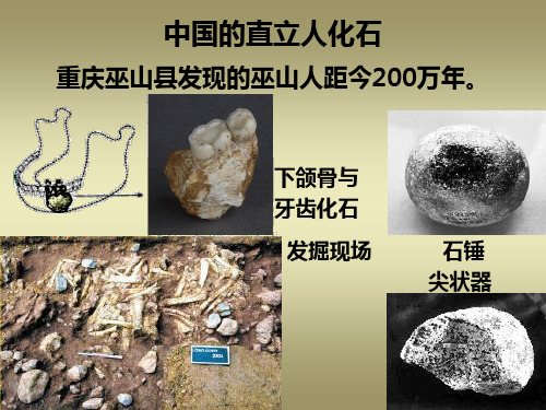 考古发现史话1.3.1 中国的直立人化石
