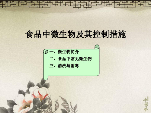 食品中的微生物及其控制PPT课件