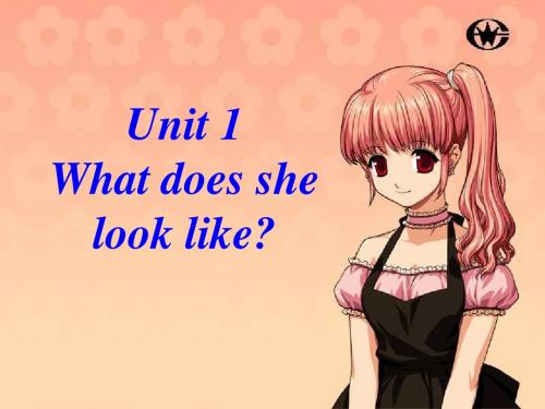 湘少版英语五上《Unit 1 What does she look like》课件2