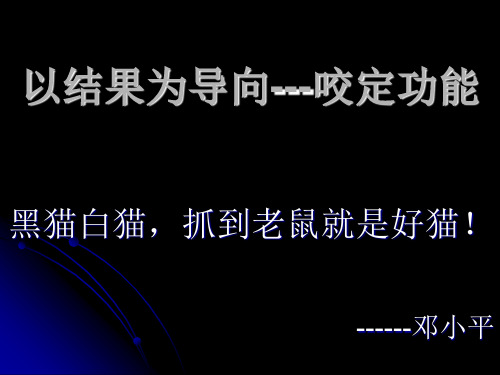 陈丽-以结果为导向