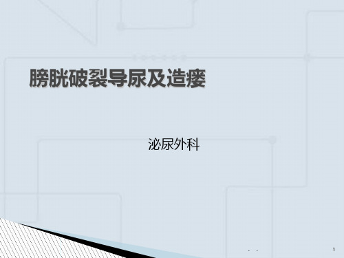 膀胱破裂导尿及造瘘PPT课件
