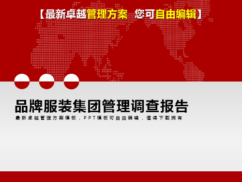 2019年快速交通公司品牌管理诊断报告 (2)