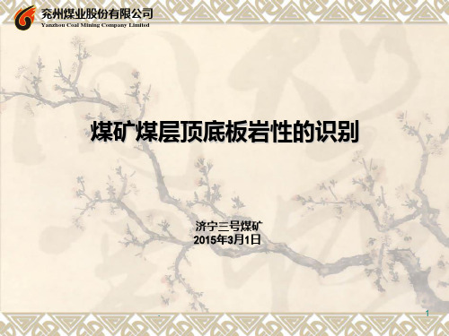 区队技术人员培训煤矿煤层顶底板岩性的识别..PPT课件