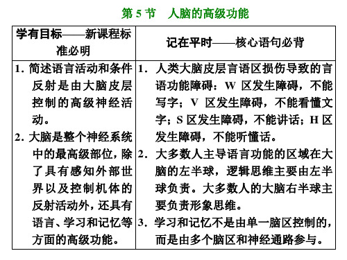 人教版高中生物选择性必修第1册 第2章 神经调节 第5节 人脑的高级功能