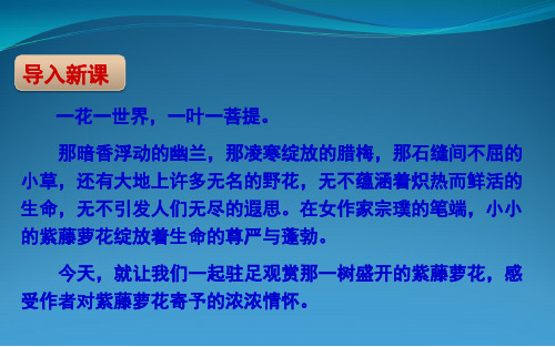 2018春苏教版八年级语文下册教学课件3、《紫藤萝瀑布》课件