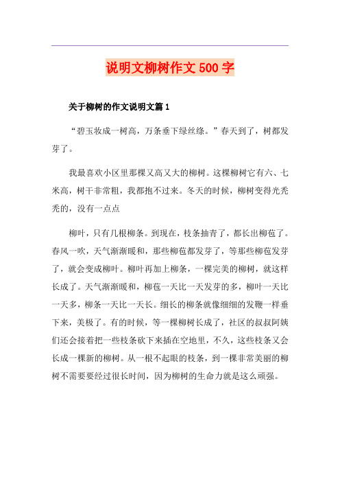 说明文柳树作文500字