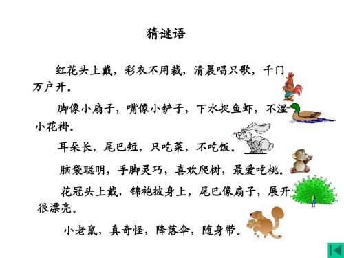 一年级语文《比尾巴》ppt课件