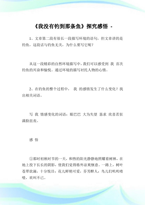 《我没有钓到那条鱼》探究感悟.doc
