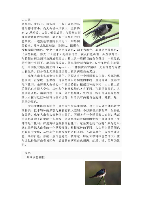 上海常见鸟类资料