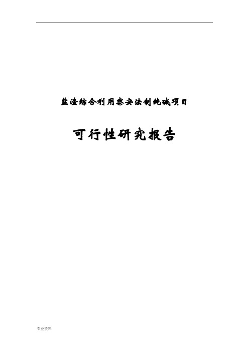 盐渣综合利用察安法制纯碱项目可行性研究报告