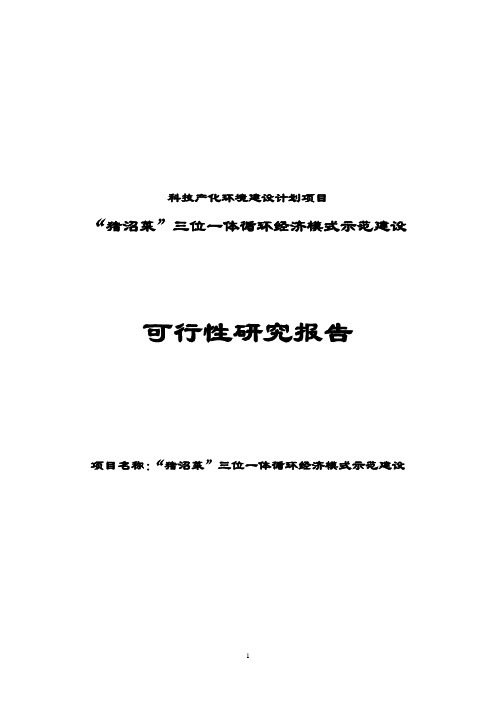 猪沼菜”三位一体循环经济模式示范可行性研究报告