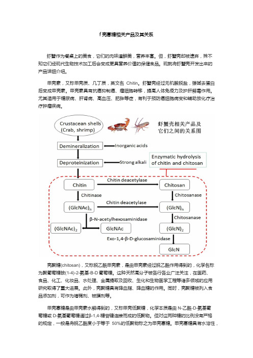 壳寡糖相关产品及它们之间的关系