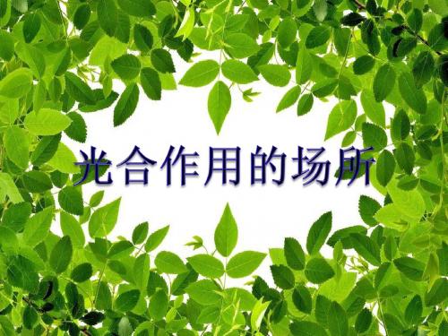 冀少儿版生物八年级上册3.3.3光合作用的场所 课件(共30张PPT)