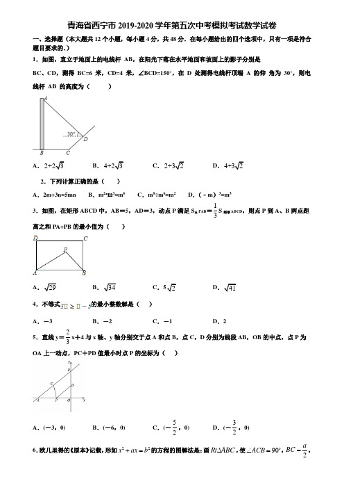 青海省西宁市2019-2020学年第五次中考模拟考试数学试卷含解析