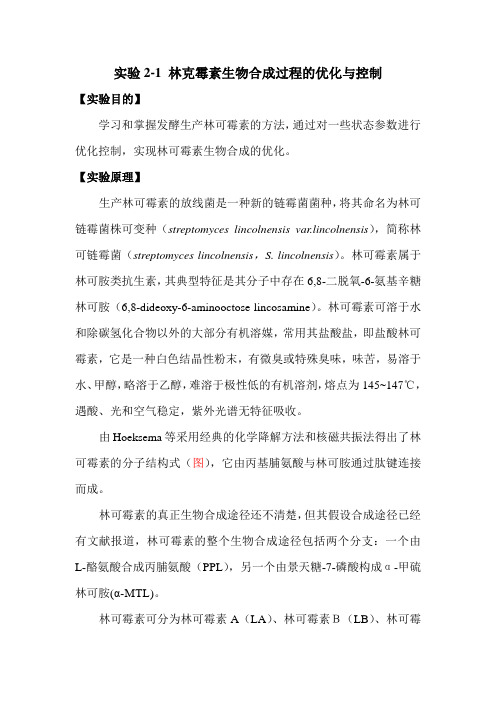生物工程综合实验